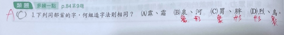 原始作答