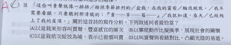 原始作答