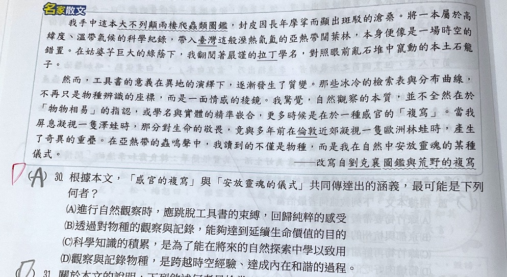 原始作答