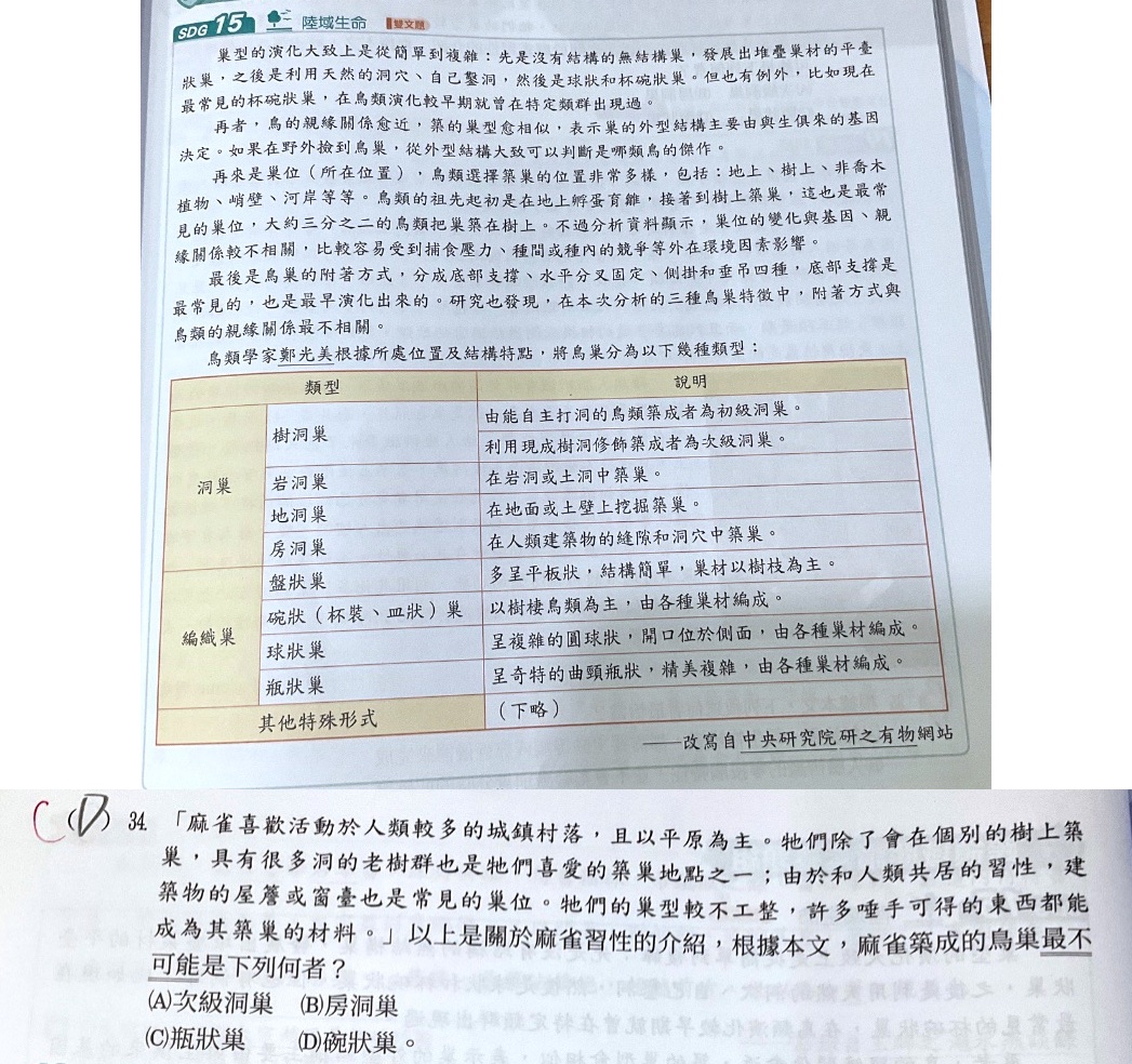 原始作答