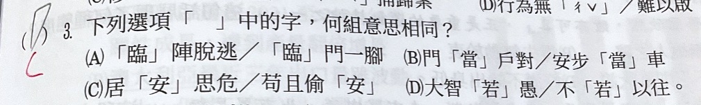 原始作答