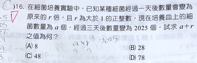 原始作答