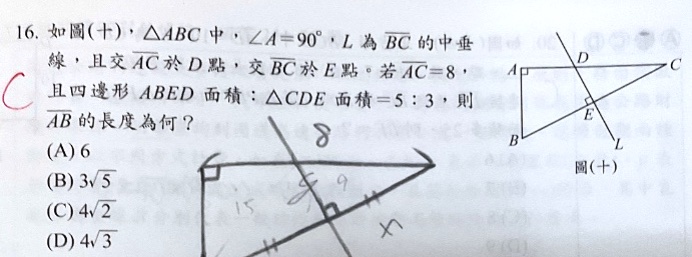原始作答