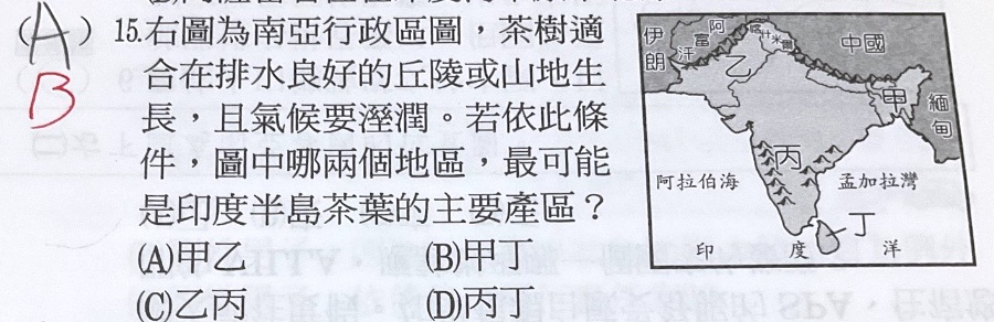 原始作答