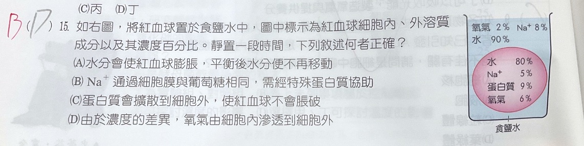 原始作答