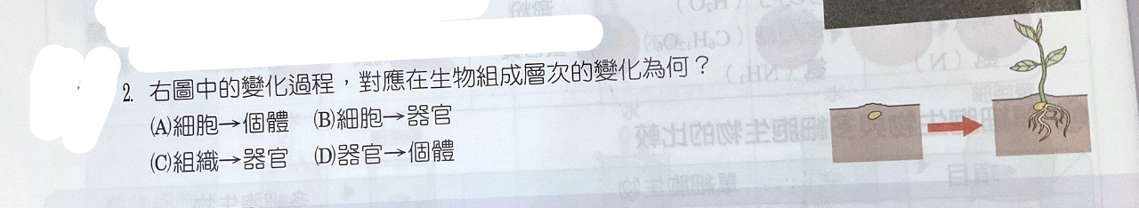 題目原文