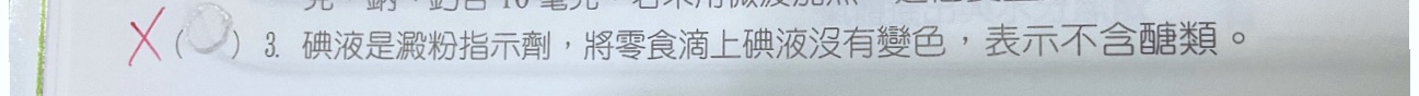 原始作答