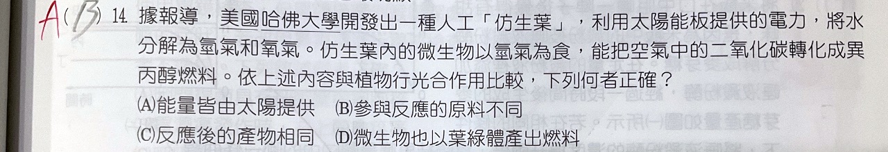 原始作答