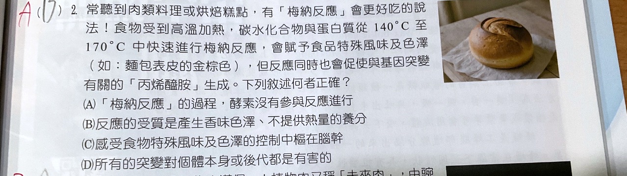 原始作答