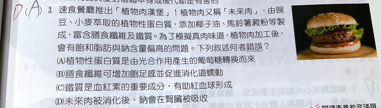 原始作答
