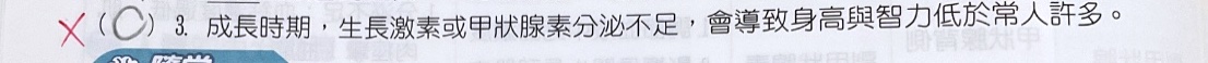 原始作答