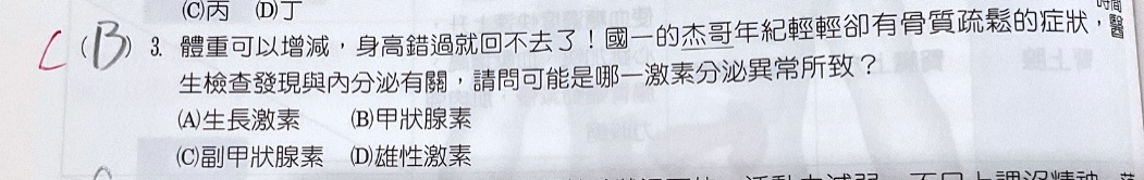 原始作答