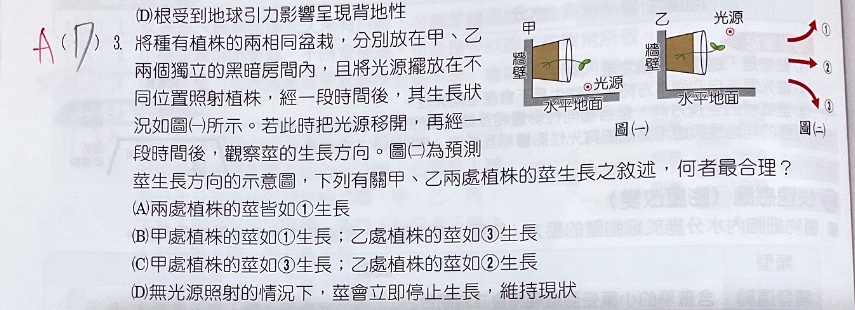 原始作答