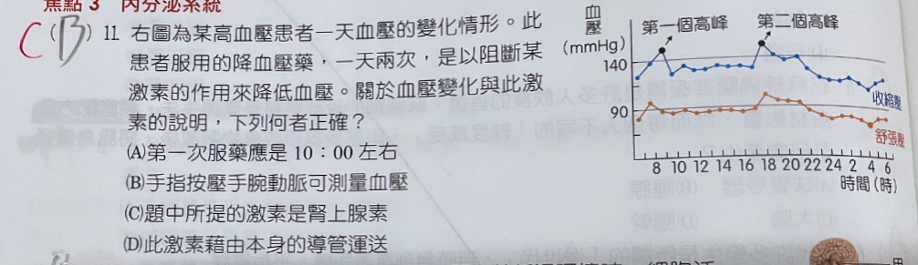 原始作答