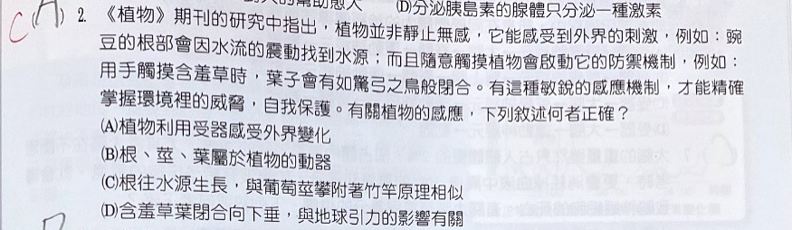 原始作答