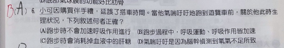 原始作答
