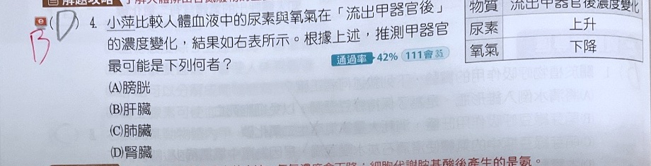 原始作答