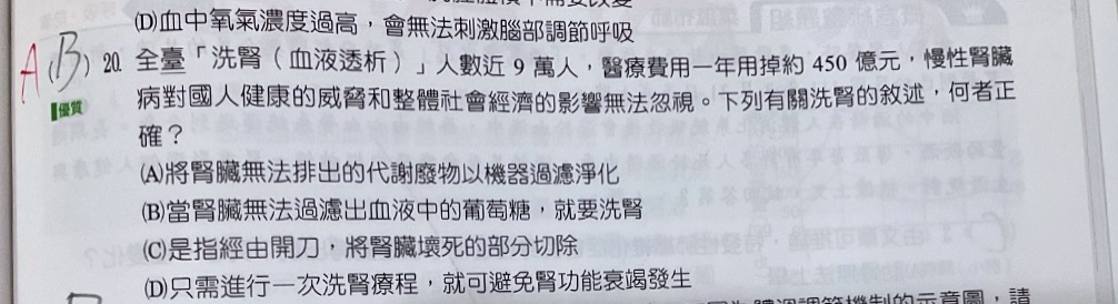 原始作答