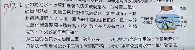原始作答