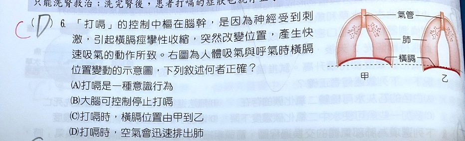 原始作答