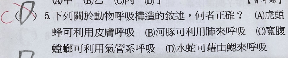原始作答
