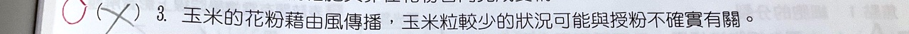 原始作答
