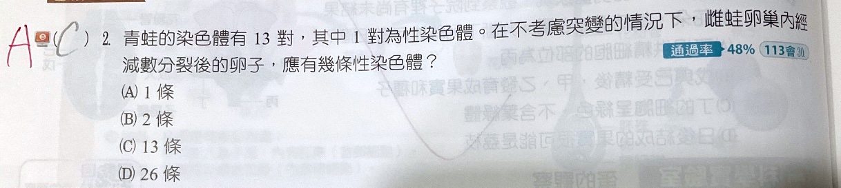 原始作答