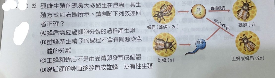 題目原文