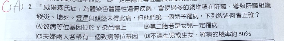 原始作答