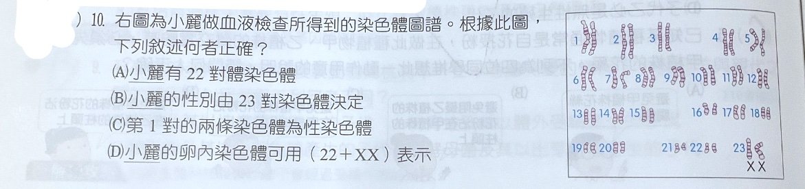 題目原文