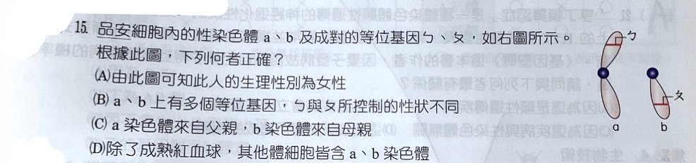 題目原文