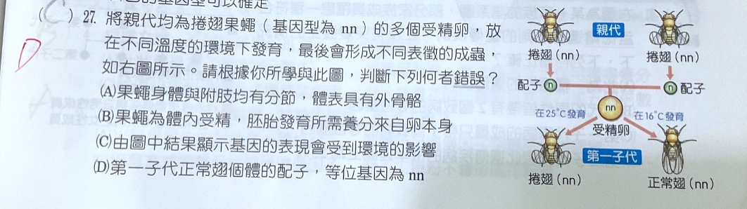 原始作答