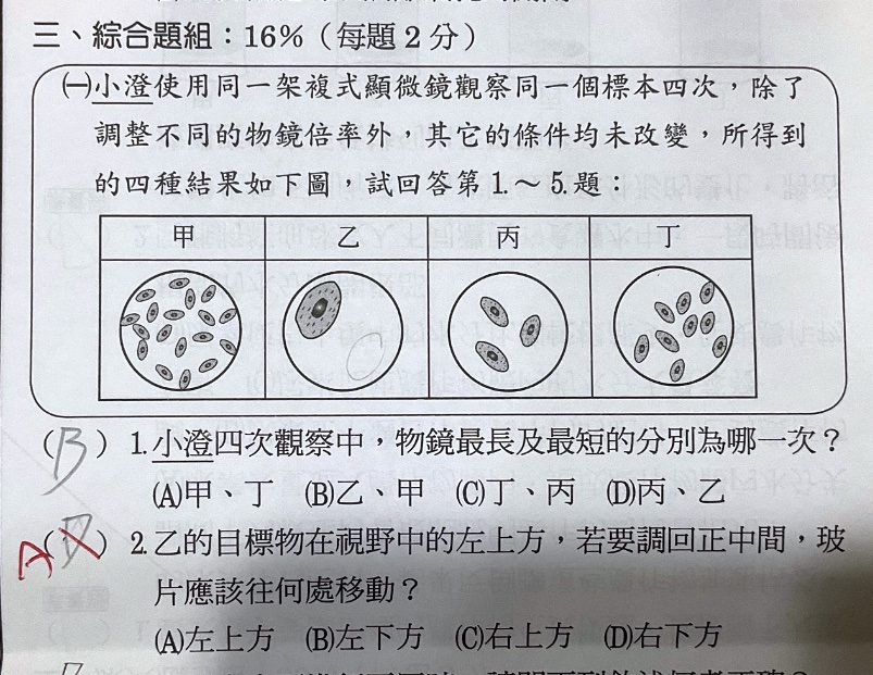 原始作答