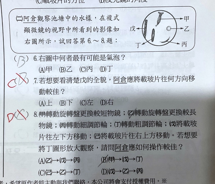 原始作答