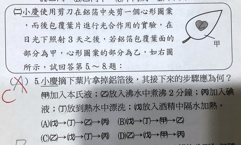 原始作答