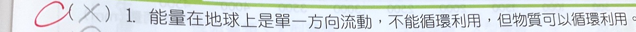 原始作答