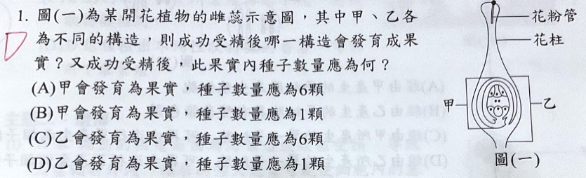 原始作答