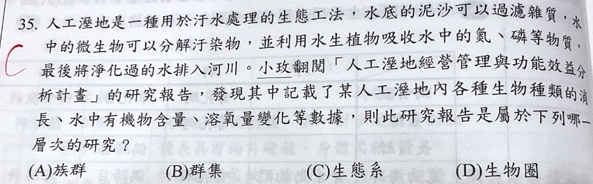 原始作答