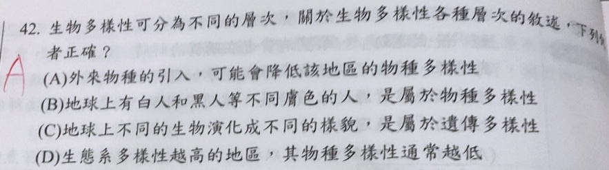 原始作答