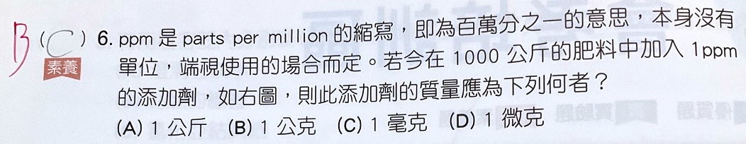 原始作答