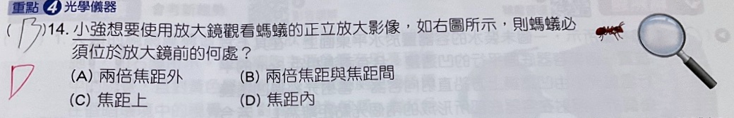 原始作答