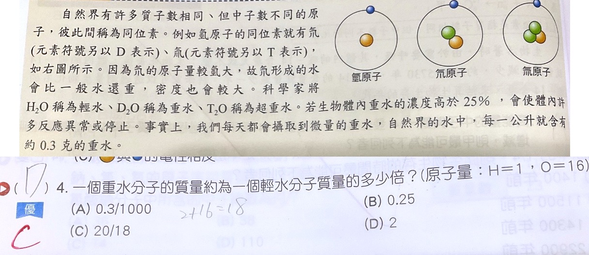 原始作答