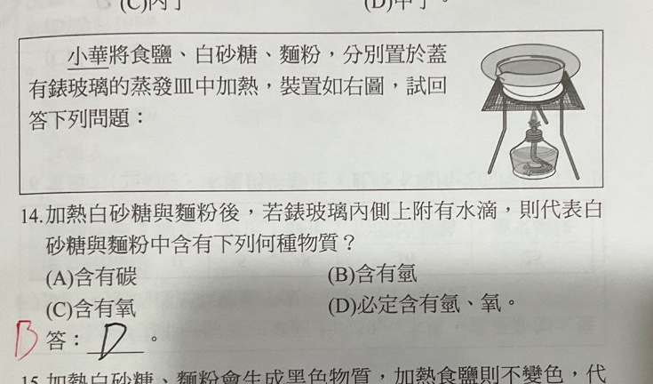 原始作答