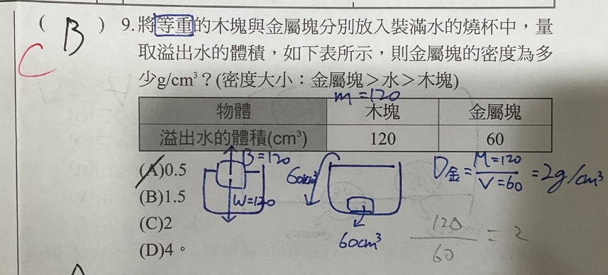 原始作答