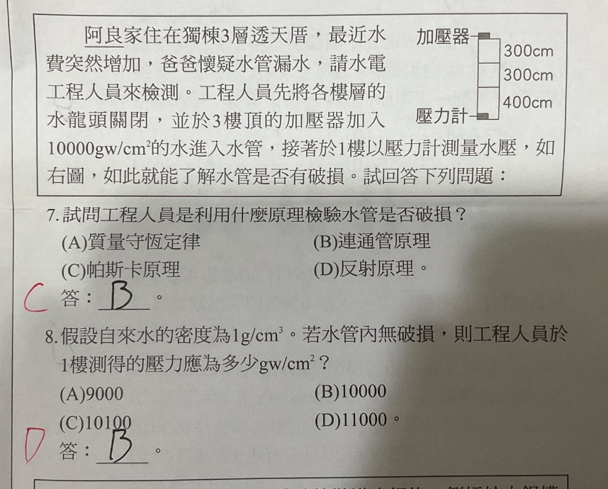 原始作答