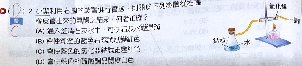 原始作答