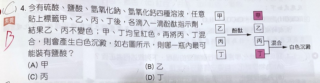 原始作答