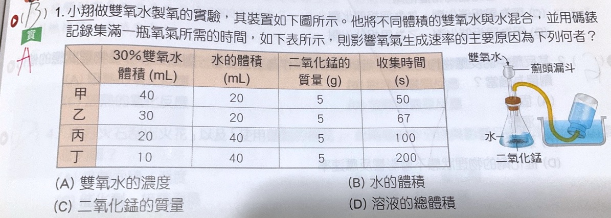 原始作答