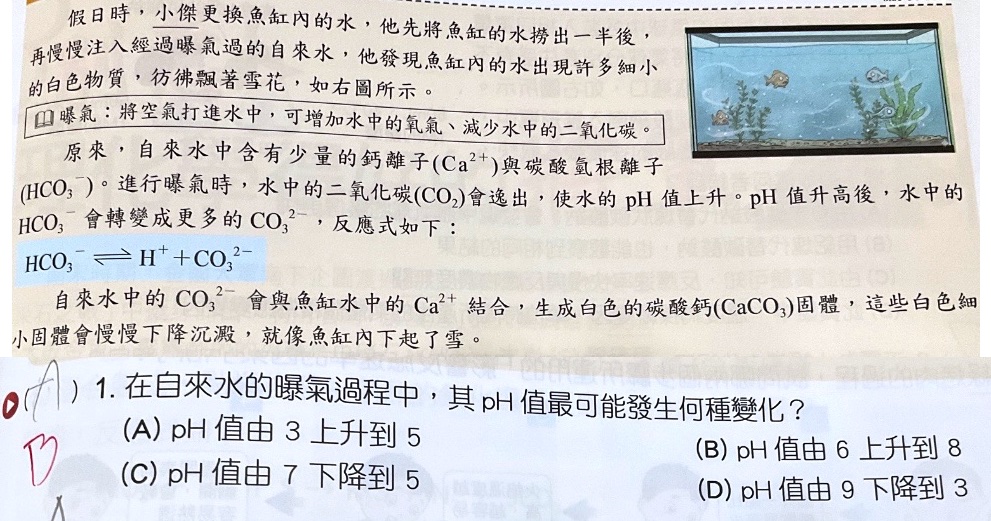 原始作答
