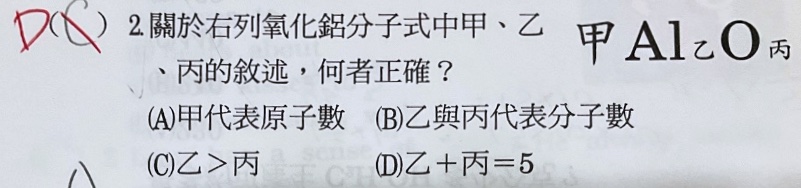 原始作答